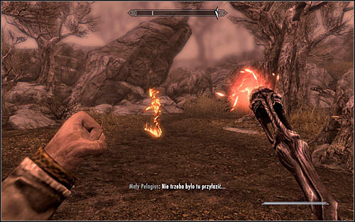 Once again use the Wabbajack on the sleeping Pelagius - The Mind of Madness - p. 2 - Daedric quests - The Elder Scrolls V: Skyrim Game Guide