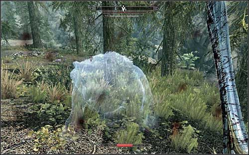 After defeating the three stronger ghosts, return to Froki and tell him of your achievement - Kynes Sacred Trials | Side quests - Side quests - The Elder Scrolls V: Skyrim Game Guide