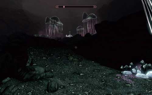 After heading inside, go to the other side of the location and climb up - Touching The Sky - p. 1 - Vampire Lord path - The Elder Scrolls V: Skyrim - Dawnguard - Game Guide and Walkthrough