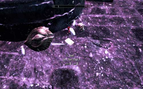 It's lying beside a big stone circle with a pink light in the middle - Impatience of a Saint - p. 3 - Mutual side missions - The Elder Scrolls V: Skyrim - Dawnguard - Game Guide and Walkthrough