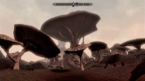 Neloth lives in the biggest of the mushrooms - the one in the middle of the courtyard - Skyrim Dragonborn: Talk to Neloth - Skyrim Dragonborn: Main story mode - Path of Knowledge - The Elder Scrolls V: Skyrim - Dragonborn Game Guide