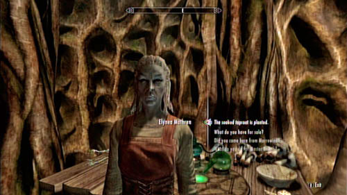 Return to the apothecary and tell Elynea that everythings done - Skyrim Dragonborn: Healing a House - Skyrim Dragonborn: Side missions - Tel Mithryn - The Elder Scrolls V: Skyrim - Dragonborn Game Guide