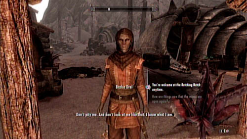 Since you have already persuaded Geldis to let Bralsa drink till passes out (you bastard - Skyrim Dragonborn: Convince Geldis Sadri to admit Bralsa Drel to the inn - Skyrim Dragonborn: Other missions - The Elder Scrolls V: Skyrim - Dragonborn Game Guide