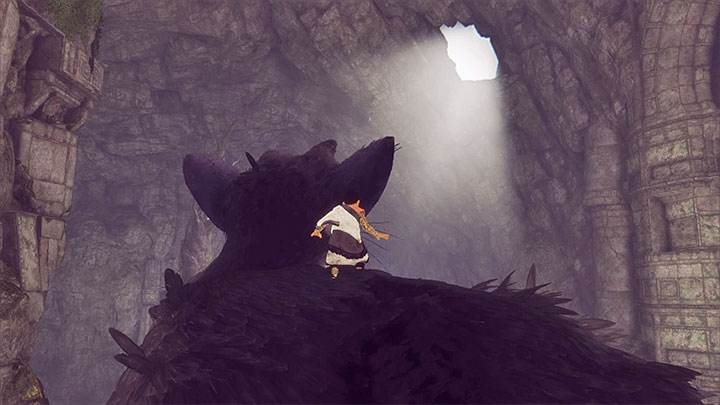 After you have reached the area where you have been avoiding the other monster, point Trico to the hole up above - Roll over the cage and leave the ruins with Trico | Walkthrough - Walkthrough - The Last Guardian Game Guide
