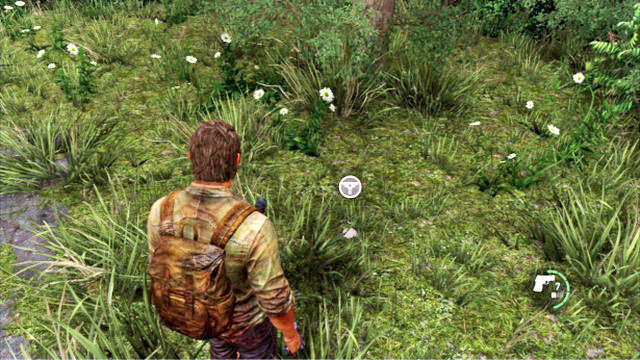 Shoot your pistol at it and pick it up after it falls - The Last of Us: The Quarantine Zone, Artifacts and pendants - Artifacts and pendants - The Last of Us Guide