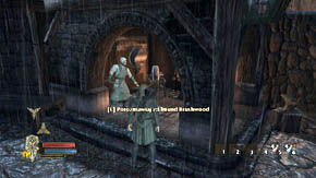 4 - Bree - Chapter 1 - The Lord of the Rings: War in the North - Game Guide and Walkthrough