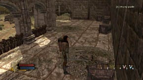 Go back to the stairs leading inside the building and go in - Main Gate - p. 1 - Chapter 1 - The Lord of the Rings: War in the North - Game Guide and Walkthrough