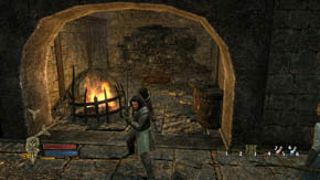 There are some mushrooms on the other end of the tunnel - Main Gate - p. 1 - Chapter 1 - The Lord of the Rings: War in the North - Game Guide and Walkthrough