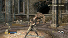 This is all you could do here - Outer Wards - Chapter 1 - The Lord of the Rings: War in the North - Game Guide and Walkthrough