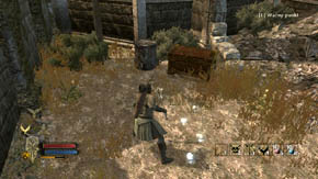 Head for the place where the goblins were coming out - Inner Wards - p. 1 - Chapter 1 - The Lord of the Rings: War in the North - Game Guide and Walkthrough