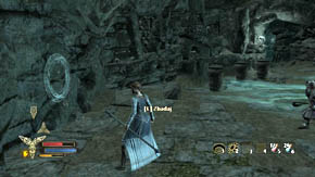 Use the glowing portal - The Barrow-downs - p. 1 - Chapter 2 - The Lord of the Rings: War in the North - Game Guide and Walkthrough