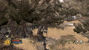 New enemies will join the fight after a while - several ordinary orc warriors and one heavy-armored - The Coldfells - p. 2 - Chapter 3 - The Lord of the Rings: War in the North - Game Guide and Walkthrough