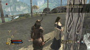 There is a teleport behind the gate, and on the right a small cave with a mushroom and several barrels - The High Moors - Chapter 3 - The Lord of the Rings: War in the North - Game Guide and Walkthrough