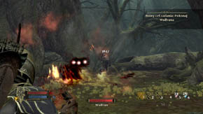 1 - The Shadowed Paths - Chapter 5 - The Lord of the Rings: War in the North - Game Guide and Walkthrough