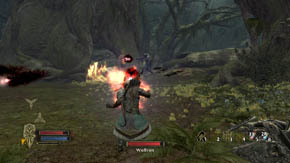 The journey through Mirkwood will begin with a fight with a boss - Wulfrun - The Shadowed Paths - Chapter 5 - The Lord of the Rings: War in the North - Game Guide and Walkthrough