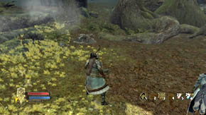 4 - The Shadowed Paths - Chapter 5 - The Lord of the Rings: War in the North - Game Guide and Walkthrough