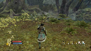 There are two heaps of items to be found in the place where you were fighting with Wulfrum - The Shadowed Paths - Chapter 5 - The Lord of the Rings: War in the North - Game Guide and Walkthrough