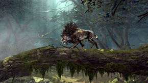 5 - The Shadowed Paths - Chapter 5 - The Lord of the Rings: War in the North - Game Guide and Walkthrough