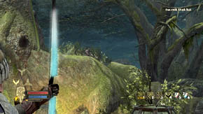 There is a flower near the entrance to the orc camp on the right - The Shadowed Paths - Chapter 5 - The Lord of the Rings: War in the North - Game Guide and Walkthrough