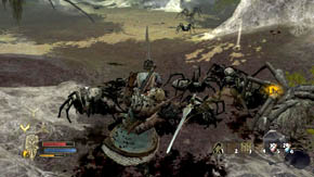 After a while the larger glade will swarm with ordinary spiders but some bigger ones will also appear here - Web-Shrouded Woods - Chapter 5 - The Lord of the Rings: War in the North - Game Guide and Walkthrough