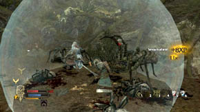 A lot of ordinary spiders and two larger ones will come down from the trees - Web-Shrouded Woods - Chapter 5 - The Lord of the Rings: War in the North - Game Guide and Walkthrough