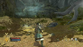 You'll find the second to the right of the stairs leading to the house of Radagast - Web-Shrouded Woods - Chapter 5 - The Lord of the Rings: War in the North - Game Guide and Walkthrough