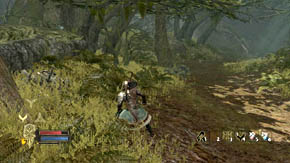 Run ahead and then right - Woodland Marshes - Chapter 5 - The Lord of the Rings: War in the North - Game Guide and Walkthrough