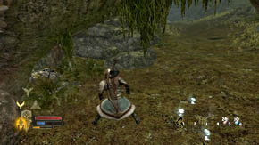 5 - Woodland Marshes - Chapter 5 - The Lord of the Rings: War in the North - Game Guide and Walkthrough