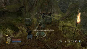 8 - Woodland Marshes - Chapter 5 - The Lord of the Rings: War in the North - Game Guide and Walkthrough