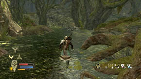 Pass under the tree and turn right - Woodland Marshes - Chapter 5 - The Lord of the Rings: War in the North - Game Guide and Walkthrough