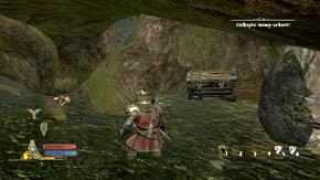 In the corner on the left there are two mushrooms, while the one on the right has a heap of items - Woodland Marshes - Chapter 5 - The Lord of the Rings: War in the North - Game Guide and Walkthrough