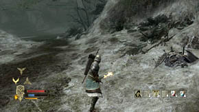 There's a plant on the left but before you collect it, defeat a swarm of small spiders and two bigger ones - Woodland Marshes - Chapter 5 - The Lord of the Rings: War in the North - Game Guide and Walkthrough