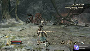 The true problem here is the swarms of small spiders, which Saenathra will be summoning once in a while - Heart of the Web - Chapter 5 - The Lord of the Rings: War in the North - Game Guide and Walkthrough