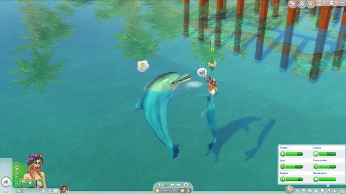 Dolphins can be your friend. - The Sims 4 Island Living: Other new features and novelties - The Sims 4: Island Living - Sims 4 Guide