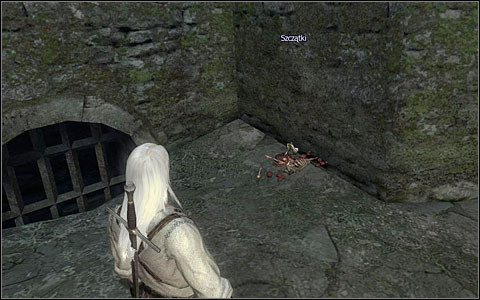 When on your way to the entrance (M1 - Kaer Morhen Courtyard - part 2 | Walkthrough - Prologue - The Witcher Game Guide & Walkthrough