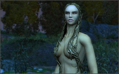 Phase 6 - Main quests - part 1 | Chapter IV | Walkthrough - Quests | Chapter IV - The Witcher Game Guide & Walkthrough