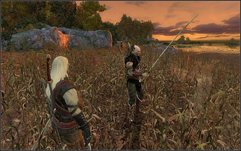 Phase 14 - Main quests - part 3 | Chapter IV | Walkthrough - Quests | Chapter IV - The Witcher Game Guide & Walkthrough