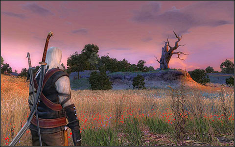 Phase 19 - Main quests - part 3 | Chapter IV | Walkthrough - Quests | Chapter IV - The Witcher Game Guide & Walkthrough