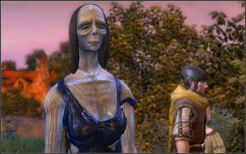 Phase 20 - Main quests - part 3 | Chapter IV | Walkthrough - Quests | Chapter IV - The Witcher Game Guide & Walkthrough