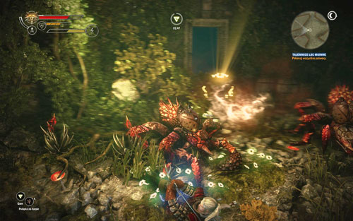 Before you reach a laboratory, you have to clean up the way for all travelers - The Secrets of Loc Muinne - Side missions - Iorweth - The Witcher 2 Assassins of Kings Guide