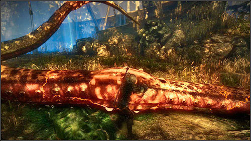 Choose Yrden and set it right below the monsters tentacles (the outer, not middle ones) - The Kayran (step 5) - Main missions - The Witcher 2 Assassins of Kings Guide