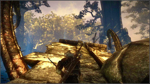 The fight is nearing its end - The Kayran (step 5) - Main missions - The Witcher 2 Assassins of Kings Guide