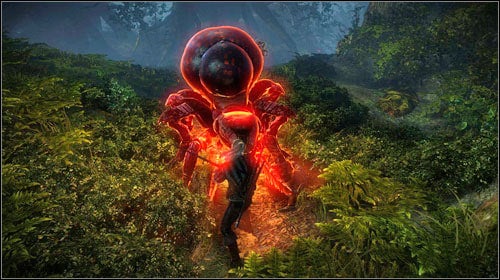 Fighting the Queen is insanely hard, especially on higher difficulty settings - The Endrega Contract - Side missions - The Witcher 2 Assassins of Kings Guide