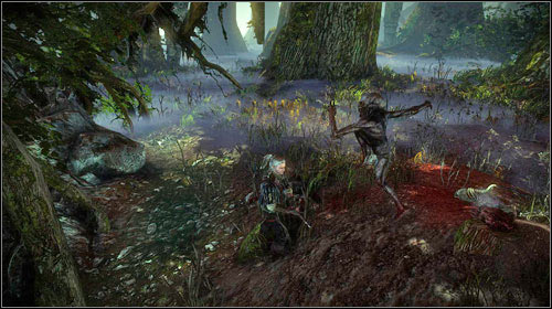 The mission is very easy, but rather time-consuming - The Nekker Contract - Side missions - The Witcher 2 Assassins of Kings Guide