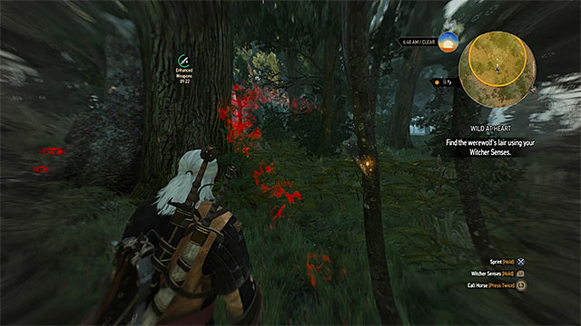 Red tracks will lead Geralt to hunters cabin - The Witcher 3 Wild Hunt: Side quests, Crows Perch - list, walkthrough - The Witcher 3: Crows Perch - The Witcher 3 Wild Hunt Guide