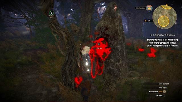 To learn with what you are dealing you must follow the trail into the forest. - The Witcher 3 Wild Hunt: Side quests in Kaer Muire - list, walkthrough - The Witcher 3: Kaer Muire - The Witcher 3 Wild Hunt Guide