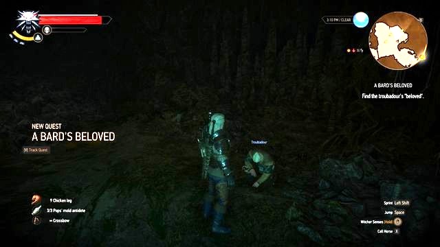 You will find the bard in the cave. - The Witcher 3 Wild Hunt: Side quests in Kaer Muire - list, walkthrough - The Witcher 3: Kaer Muire - The Witcher 3 Wild Hunt Guide