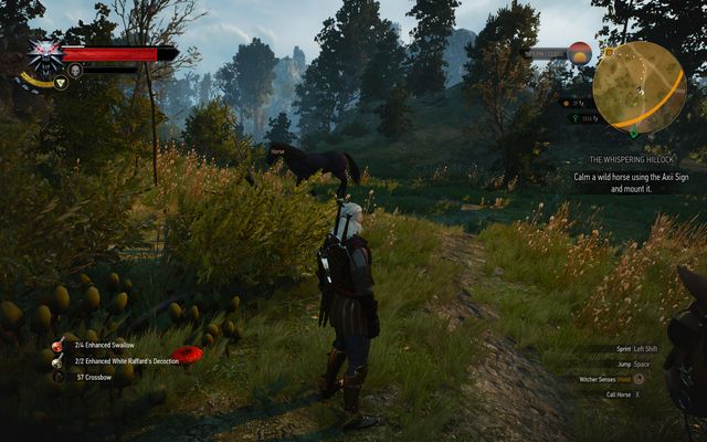Pick any horse which you will take to the ghost - The Witcher 3 Wild Hunt: Side quests, Crookbag Bog - walkthrough - The Witcher 3: Crookback Bog - The Witcher 3 Wild Hunt Guide