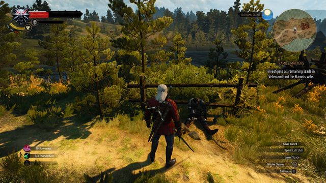 The Witcher 3 Wild Hunt: Treasure hunt, Fyke Isle - walkthrough ...