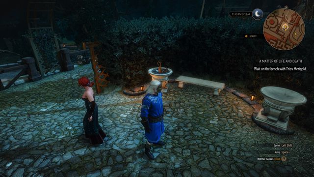 Wait with Triss for the right moment to act. - The Witcher 3 Wild Hunt: Side quests, Free City of Novigrad - walkthrough - The Witcher 3: Free City of Novigrad - The Witcher 3 Wild Hunt Guide